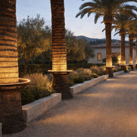 "Elegant palm trees with warm lighting and soft gravel pathway, showcasing natural colors and textures in a serene setting."