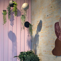 Globe Hanging Flowerpot - Large