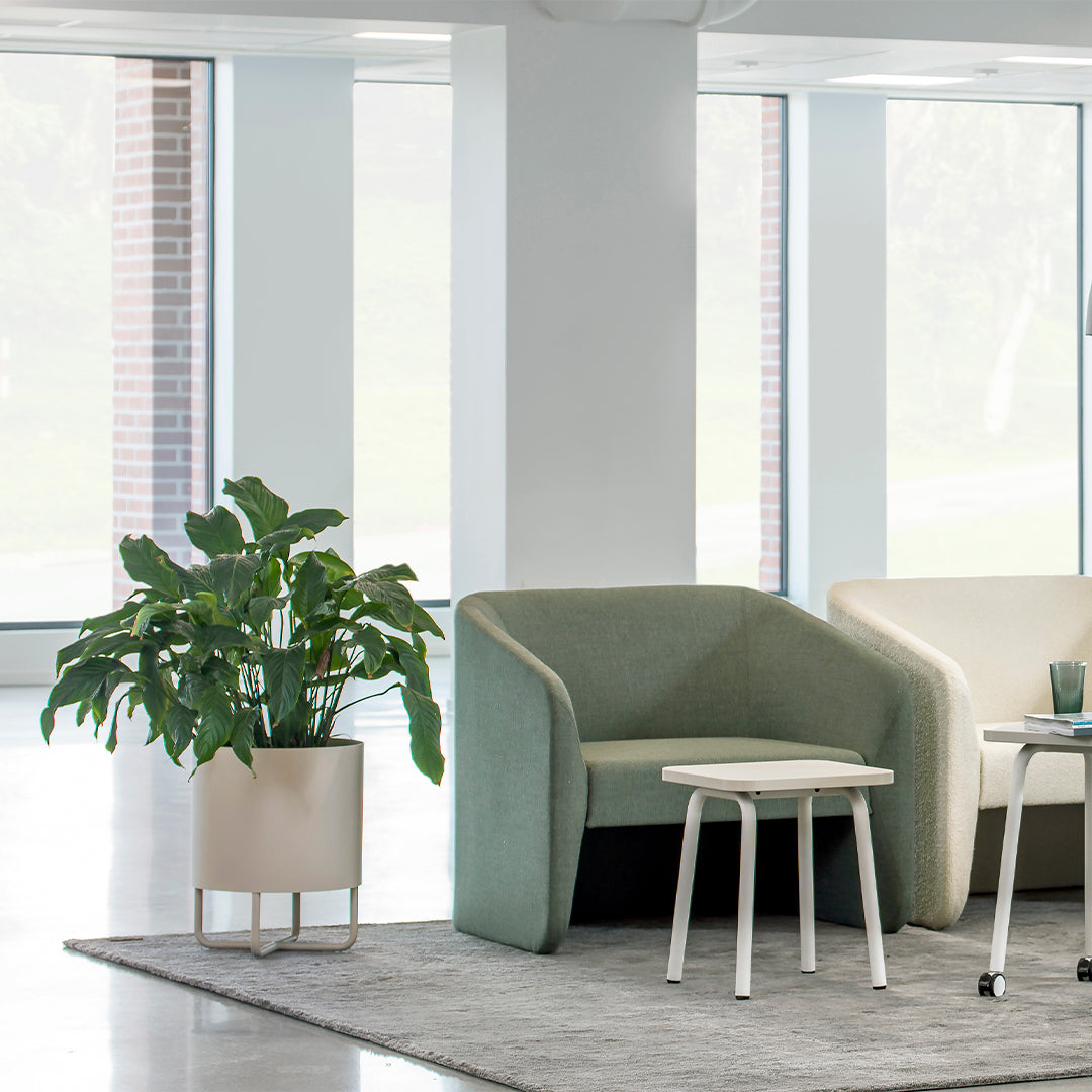 Green and beige armchairs with a light gray rug; indoor plant in a cream pot adds a natural touch.