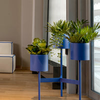 Blue metal plant stand with circular pots, featuring vibrant green plants and a sleek modern design.