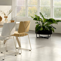 Modern beige and gray dining chairs with metal legs, set against a light-filled room and lush green plants.