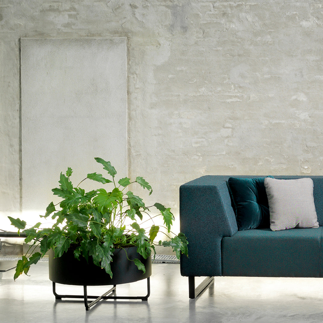 Velvet teal sofa with light gray accent pillow and black planter featuring lush green foliage against a textured wall.