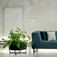 Velvet teal sofa with light gray accent pillow and black planter featuring lush green foliage against a textured wall.