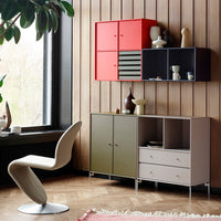 Cabinet 1118 - 2 Lacquered Doors