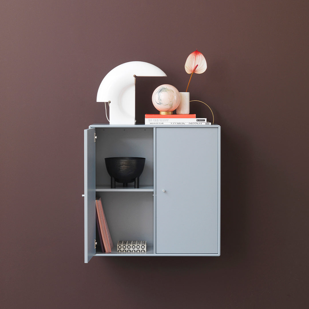 Cabinet 1118 - 2 Lacquered Doors