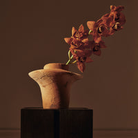Terracotta vase with a smooth finish holds vibrant orange orchids against a dark, warm backdrop. Elegant and rustic design.