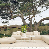 Drum Garden Coffee Table