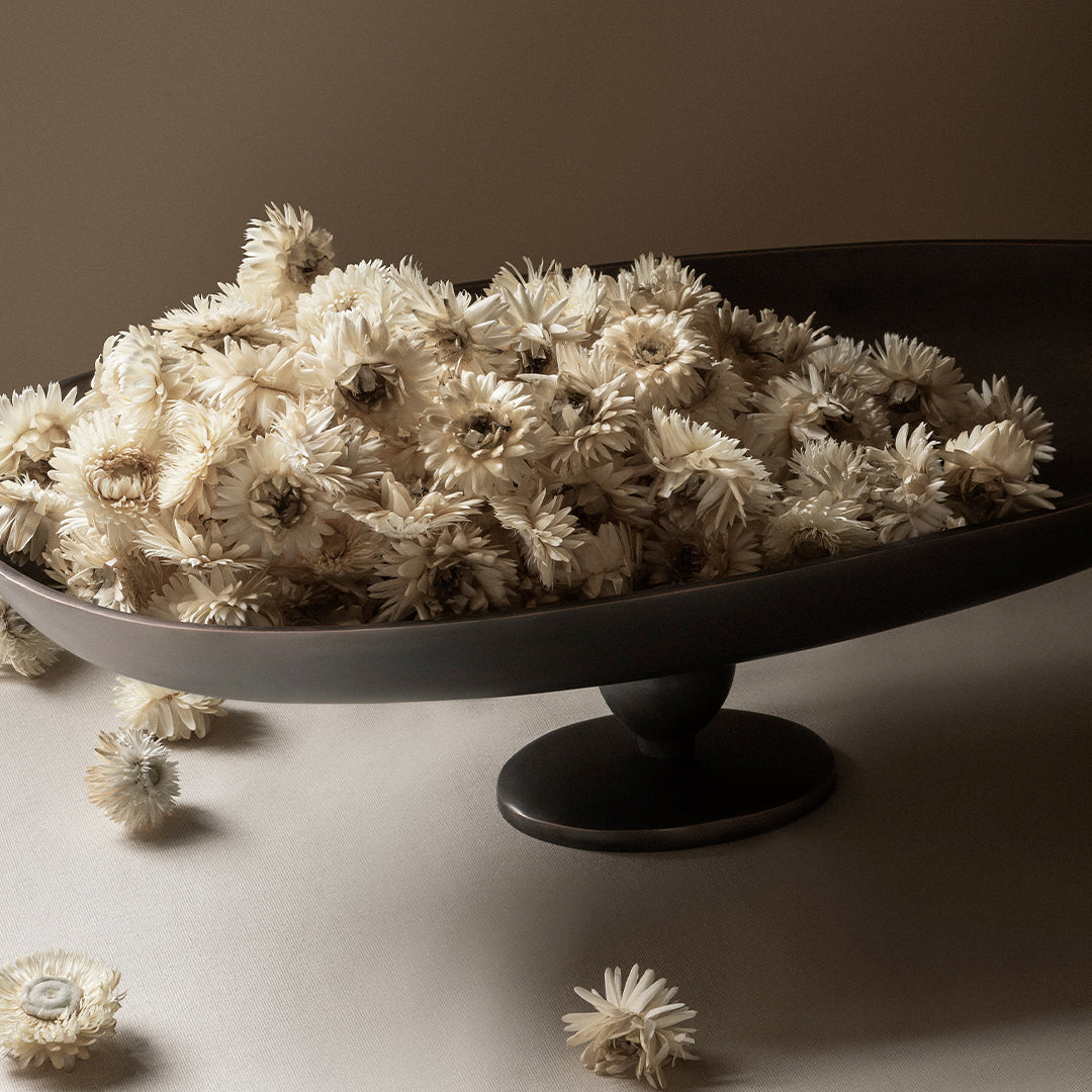 "Neutral-toned flower arrangement in a sleek, dark bowl, showcasing soft white petals and subtle earthy textures."