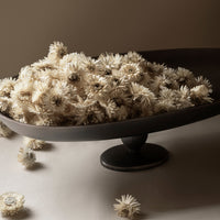 "Neutral-toned flower arrangement in a sleek, dark bowl, showcasing soft white petals and subtle earthy textures."