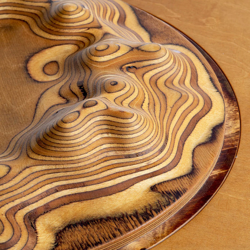 Textured wooden plate featuring warm honey and rich brown tones with wavy, layered patterns. Ideal for decor.