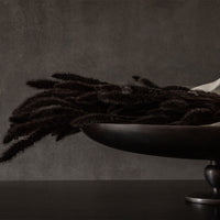 Dark textured stems in a sleek black bowl against a moody gray background, showcasing earthy elegance.