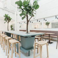 Halikko Counter Stool