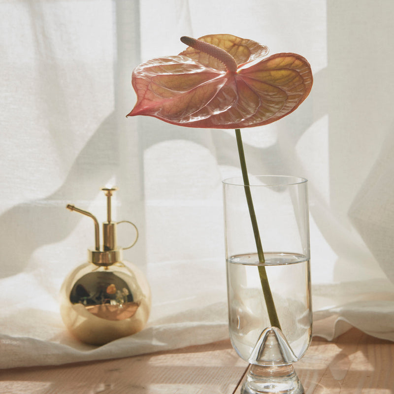 Pink and gold anthurium flower in a clear glass vase with a golden spray bottle, bright and airy setting.