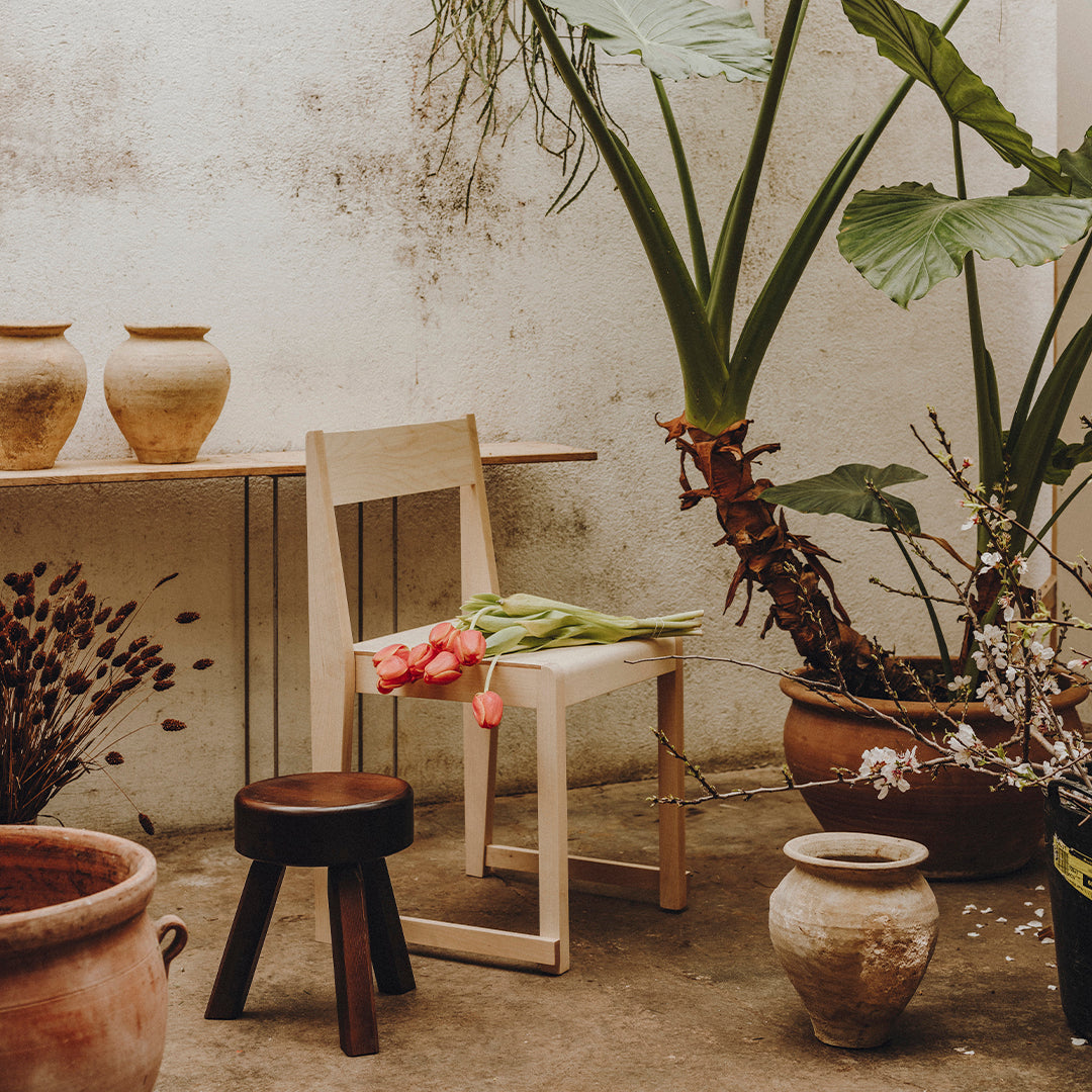 "Natural wood chair with a minimalist design, surrounded by earthy pots and vibrant green plants."