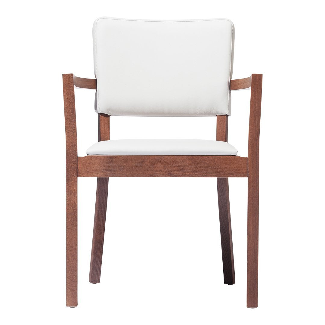 Treviso Armchair - Upholstered - Beech Pigment Frame
