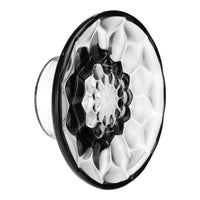 Jellies Coat Hangers