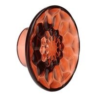 Jellies Coat Hangers