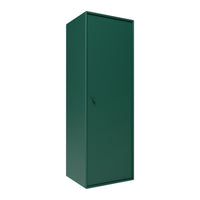 Tall green storage cabinet with a sleek, solid finish and minimalist design. Perfect for any modern space.