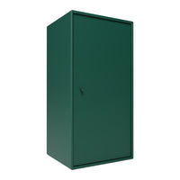 Dark green metal cabinet with a sleek, solid design and minimalistic style. Ideal for modern storage solutions.