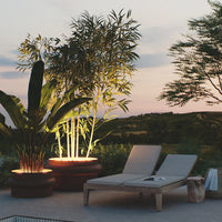 Elegant outdoor scene featuring green tropical plants and sleek gray lounge chairs under soft evening light.