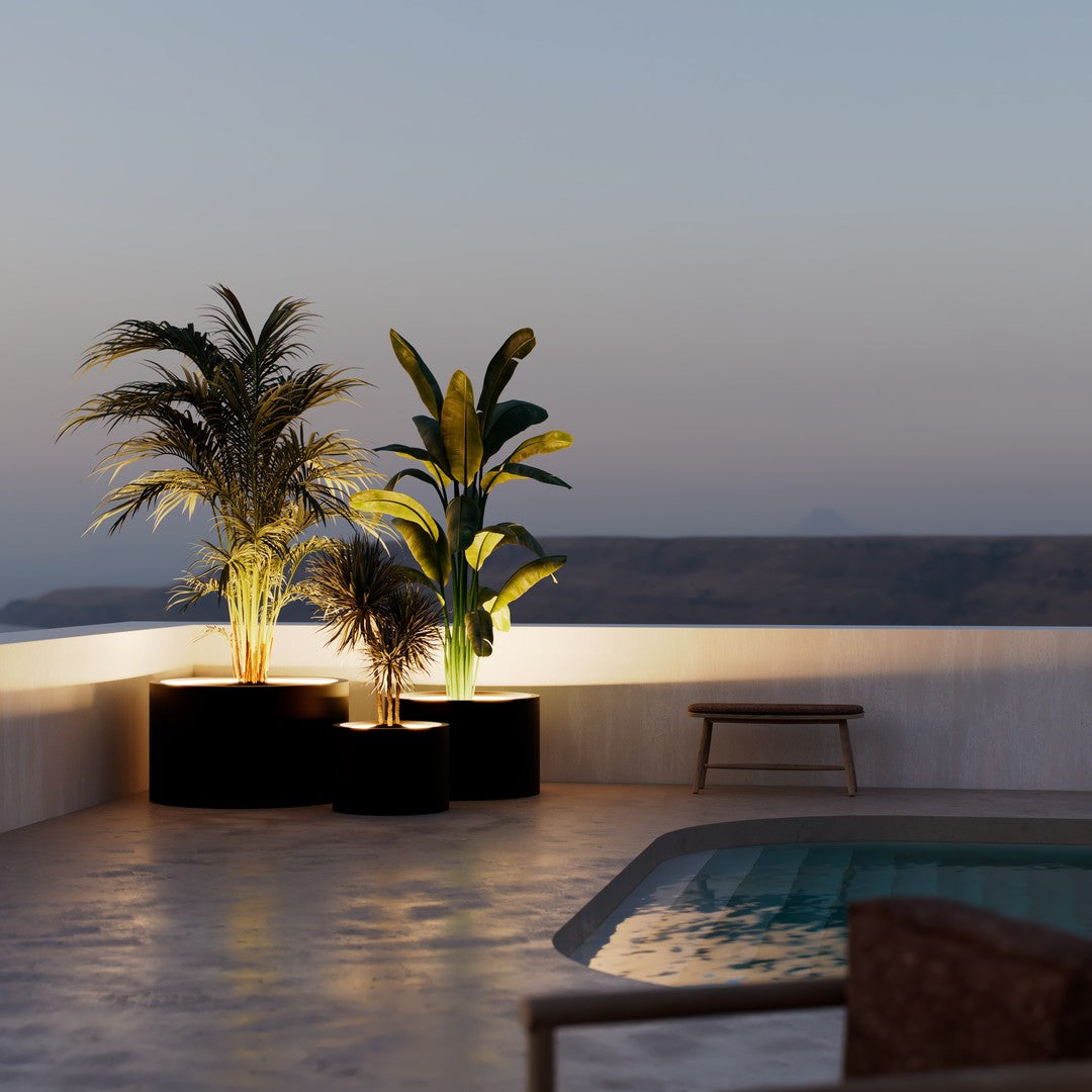 "Vibrant green tropical plants in sleek black pots, set against a serene dusk backdrop with soft lighting."