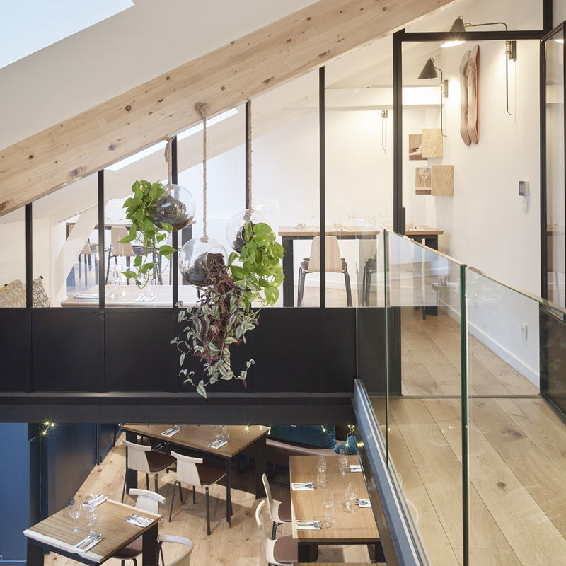 Modern interior with wooden beams, glass railing, and natural greenery, featuring light wood tones and sleek black accents.