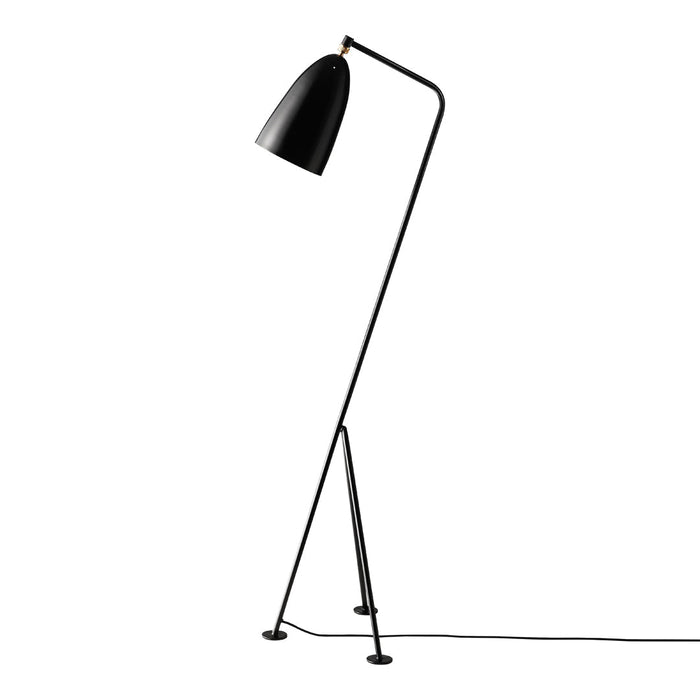 Sleek black floor lamp with a modern minimalist design and smooth matte finish, ideal for contemporary decor.
