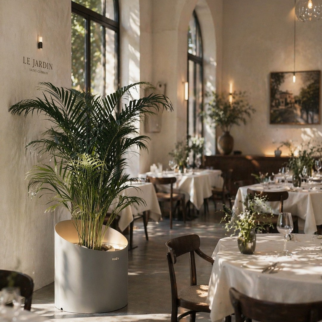 Elegant indoor dining with soft white tablecloths and lush green palm plants in a modern gray planter.