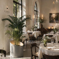 Elegant indoor dining with soft white tablecloths and lush green palm plants in a modern gray planter.