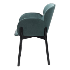 Ginger Armchair - Seat Upholstered - Beech Pigment Frame