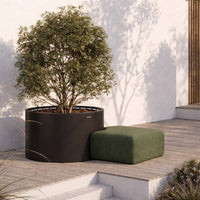 Black round planter with vibrant green foliage and a textured green ottoman on a wooden deck.