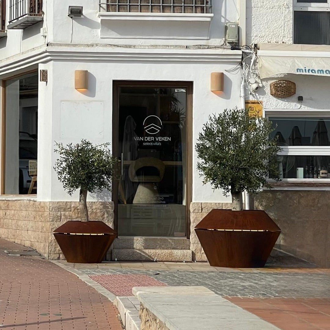 "Hexagonal brown planters with vibrant green olive trees against a white building backdrop."
