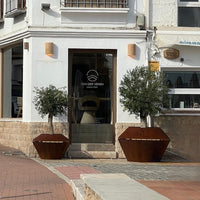 "Hexagonal brown planters with vibrant green olive trees against a white building backdrop."