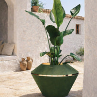 Green geometric planter with gold accents, showcasing lush green leaves and a textured surface. Ideal for modern decor.