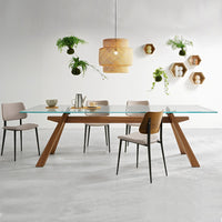Minimalist glass dining table with wooden legs, complemented by light beige chairs and natural greenery accents.