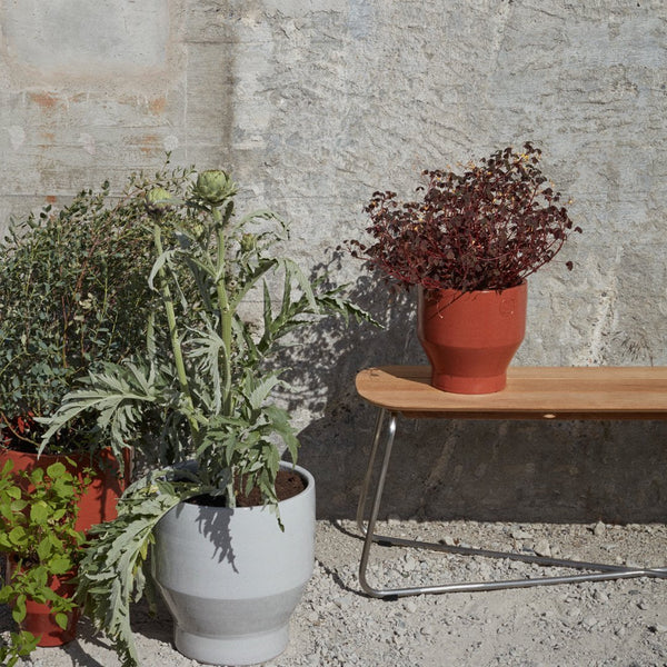 Stylish gray and terracotta pots with lush green plants, set against a textured wall and wooden bench.