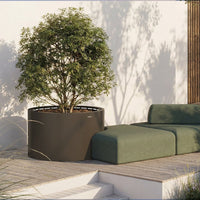 Modern black planter with lush green tree, complemented by a soft green sofa against a neutral background.