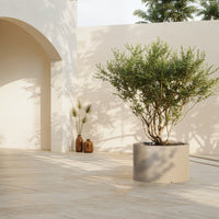 Light beige wall, soft wood flooring, and a round gray planter with a lush green plant, creating an inviting outdoor space.