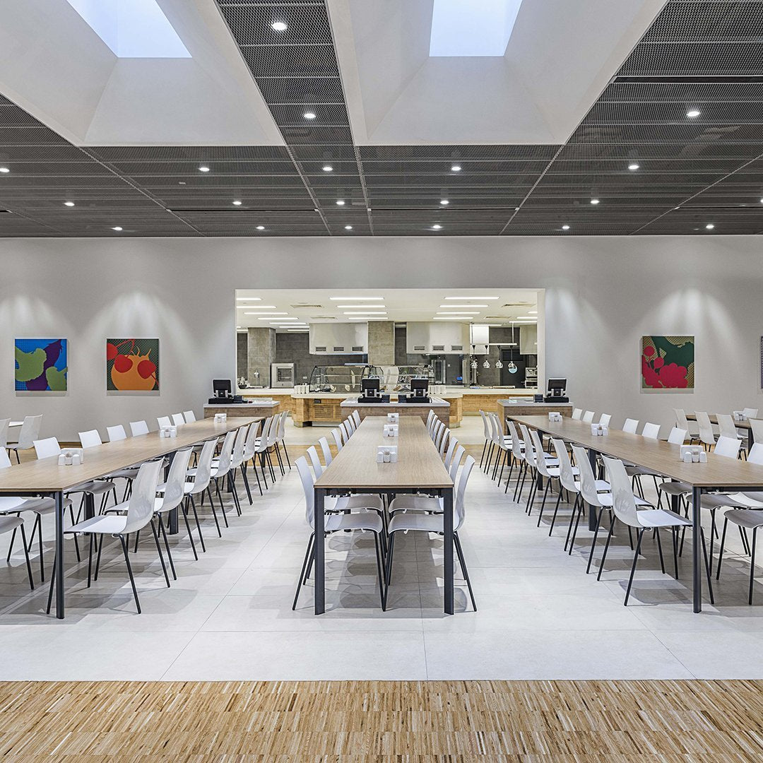 Cantata Dining Chair