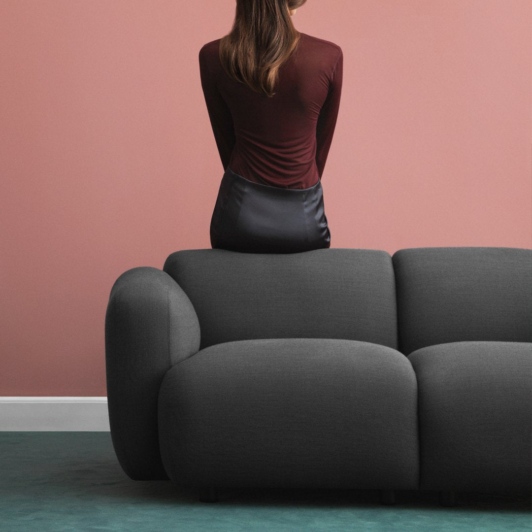 Swell Sofa 2-Seater