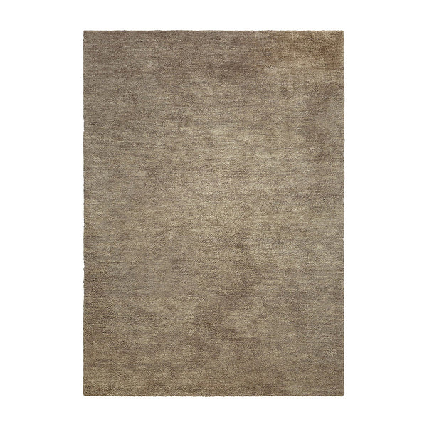 Neutral-toned area rug featuring a soft, textured surface in warm beige and taupe shades, ideal for versatile decor.