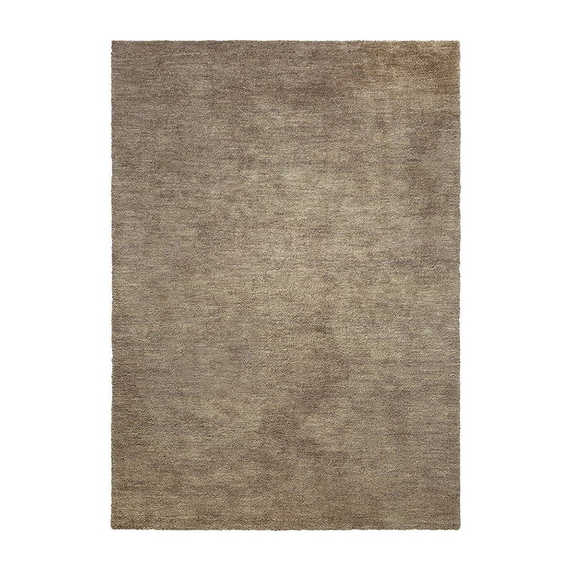 Neutral-toned area rug featuring a soft, textured surface in warm beige and taupe shades, ideal for versatile decor.