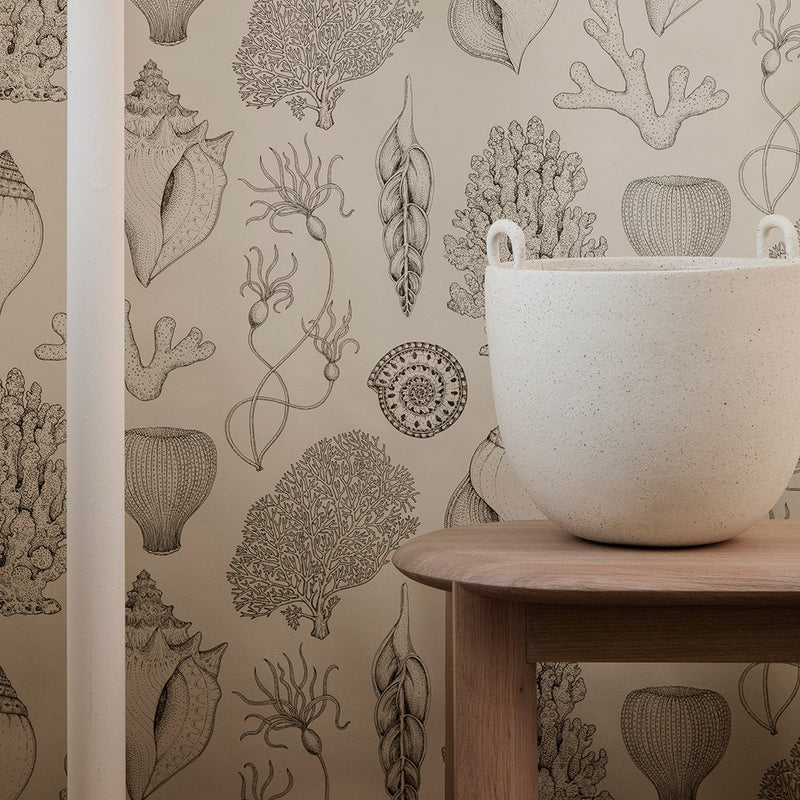 Beige wallpaper featuring detailed illustrations of coral and sea plants in natural tones, complemented by a light-colored planter.