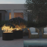 "Stylish black planters with illuminated foliage, set against a modern gray backdrop and natural greenery."