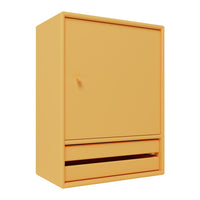 Bright orange cabinet with a smooth finish, featuring a single door and two drawers. Simple and modern design.