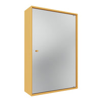 Reflect Bathroom Mirror Cabinet - Wall Mounted