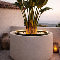 Stone gray planter with a round, smooth design, illuminated by soft yellow light, featuring lush green foliage.