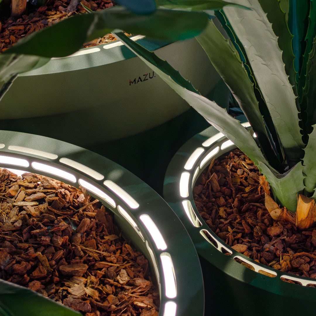 Green plant pots with sleek, reflective edges and wood chip patterns inside, surrounded by lush greenery.