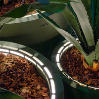 Green plant pots with sleek, reflective edges and wood chip patterns inside, surrounded by lush greenery.