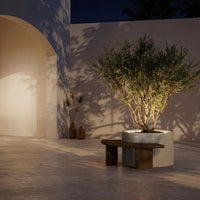 Elegant indoor space featuring warm beige tones, earthy brown accents, and soft shadows from lush greenery.